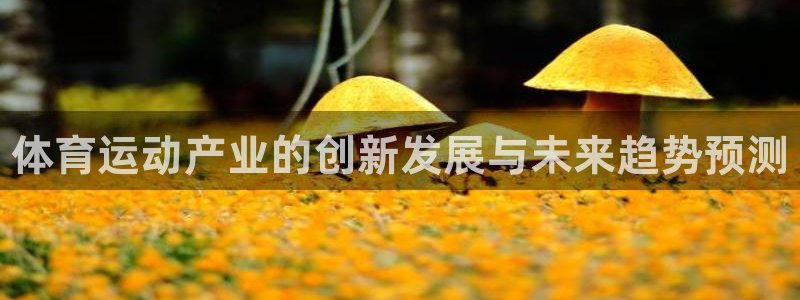 利记官方正版app娱乐网站：体育运动产业的创新发展与