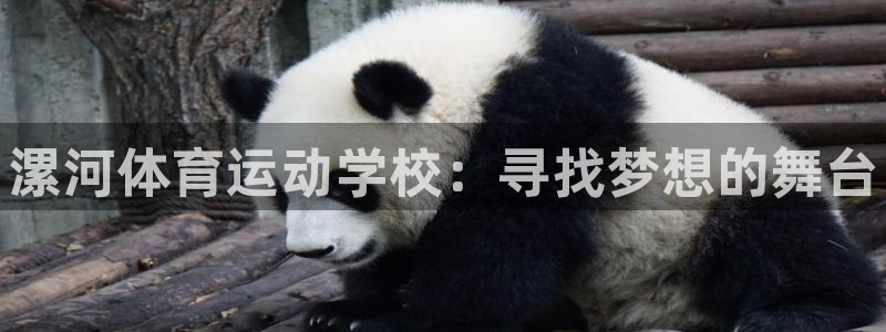 利记官网下载是干嘛的公司：漯河体育运动学校：寻找梦想