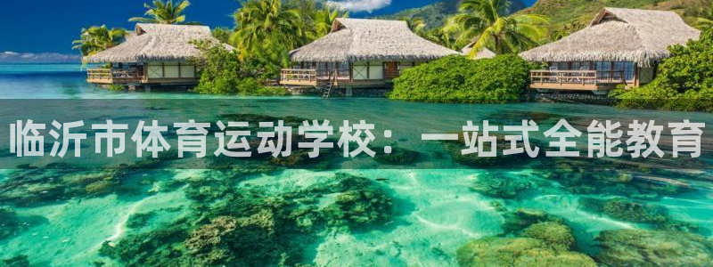 利记官方正版app集团E.ON：临沂市体育运动学校：