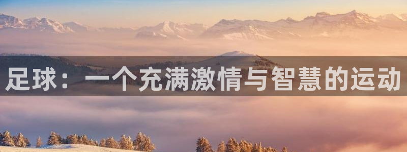利记官网下载招商电话是多少号码：足球：一个充满激情与