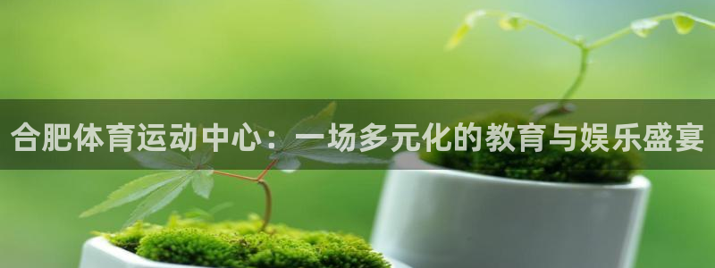 利记官方正版app五金厂：合肥体育运动中心：一场多元化的教育