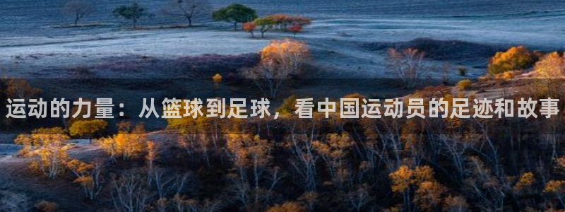 利记官网下载平台注册要钱吗安全吗：运动的力量：从篮球