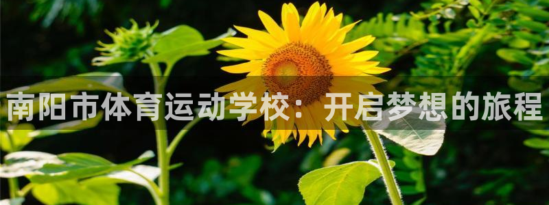 利记官方正版app集团logo：南阳市体育运动学校：