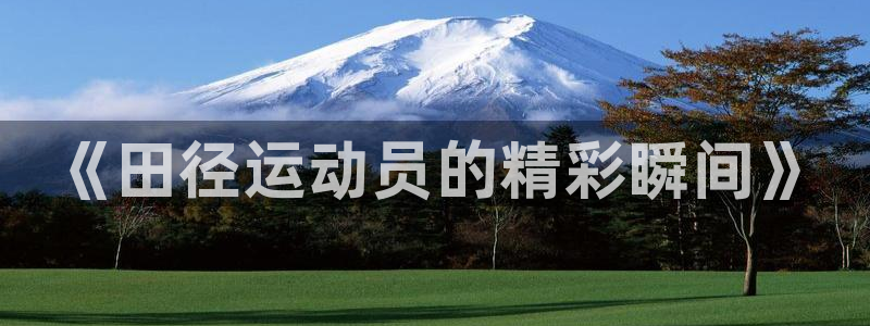 利记官方正版app代理：《田径运动员的精彩瞬间》