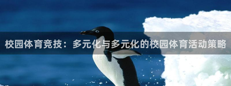 利记官网下载娱乐：校园体育竞技：多元化与多元化的校园