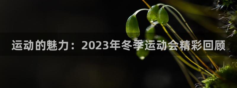 利记官网下载招商电话是多少啊：运动的魅力：2023年