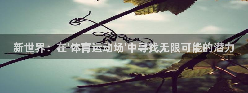 利记官网下载招商电话号码：新世界：在\'体育运动场\'中寻找