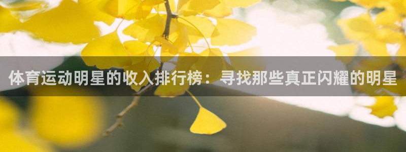 利记官方正版app开户：体育运动明星的收入排行榜：寻找那些真