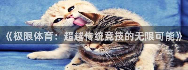 利记官网下载平台注册要钱吗是真的吗：《极限体育：超越