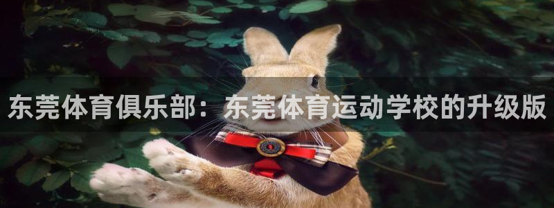 利记官网下载招商电话是多少啊：东莞体育俱乐部：东莞体