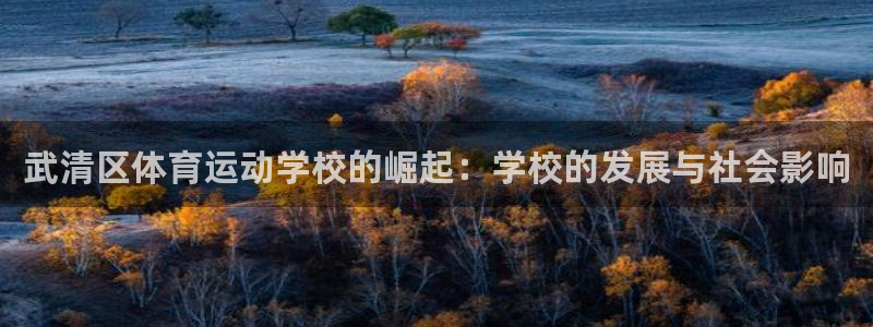 利记官网下载招商电话号码查询是多少：武清区体育运动学校的崛起