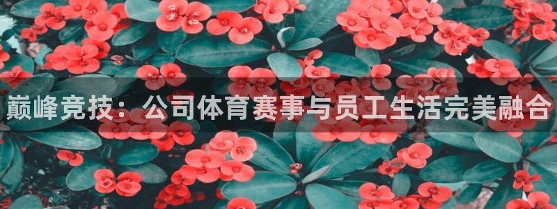 利记官网下载招商电话号码是多少啊：巅峰竞技：公司体育赛事与员