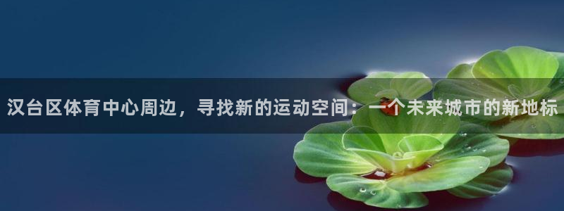 利记官网下载娱乐：汉台区体育中心周边，寻找新的运动空间：一个