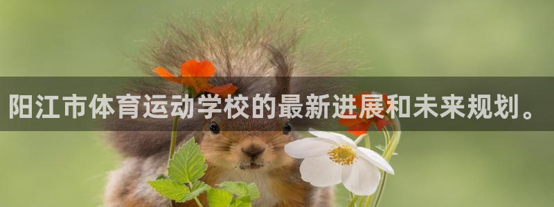 利记官方正版app集团官网首页网址：阳江市体育运动学