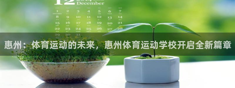 利记官网下载平台注册流程视频：惠州：体育运动的未来，惠州体育