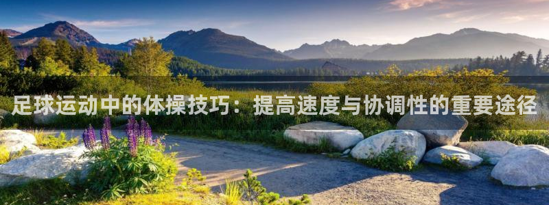 利记官网下载平台注册流程视频：足球运动中的体操技巧：提高速度