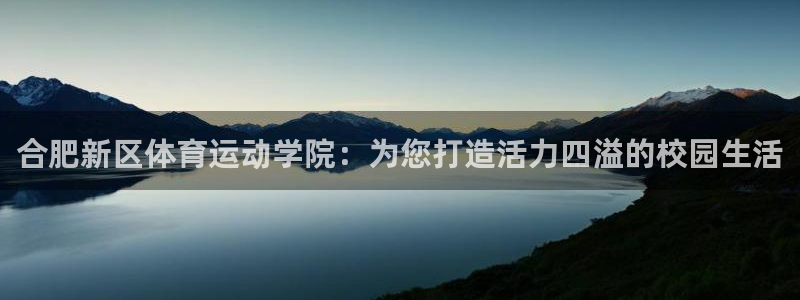 利记官方正版app集团E.ON：合肥新区体育运动学院