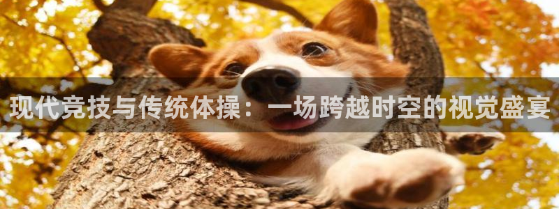 利记官方正版app娱乐首页网站大全：现代竞技与传统体操：一场