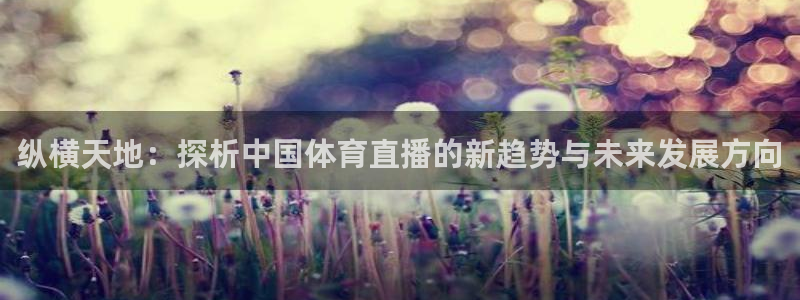 松鼠直播：纵横天地：探析中国体育直播的新趋势与未来发展方向