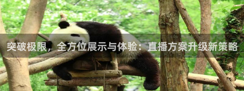 松鼠体育在线直播下载：突破极限，全方位展示与体验：直播方案升级新策略