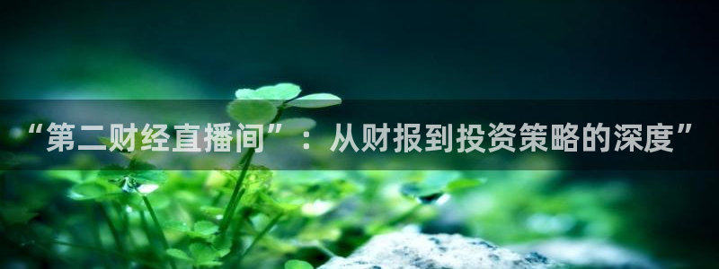 松鼠体育：“第二财经直播间”：从财报到投资策略的深度”