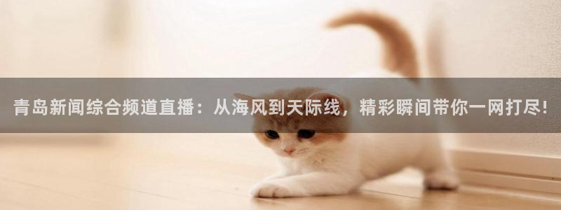 松鼠体育在线直播：青岛新闻综合频道直播：从海风到天际线，精彩瞬间带你一网打尽!
