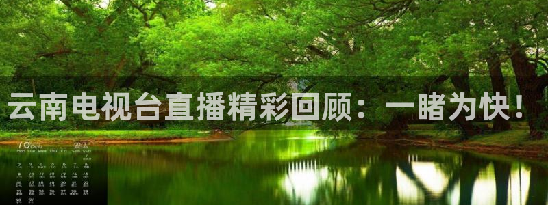 松鼠休闲游戏官网：云南电视台直播精彩回顾：一睹为快！