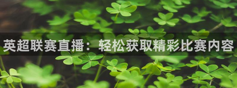 松鼠直播体育：英超联赛直播：轻松获取精彩比赛内容