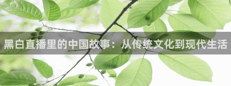 松鼠直播体育免费：黑白直播里的中国故事：从传统文化到现代生活