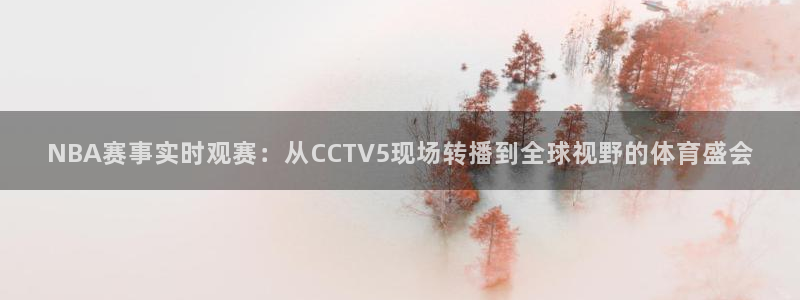 松鼠宝贝体育：NBA赛事实时观赛：从CCTV5现场转播到全球视野的体育盛会